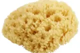Kleiner Naturschwamm