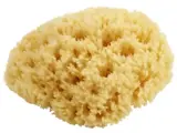 Kleiner Naturschwamm